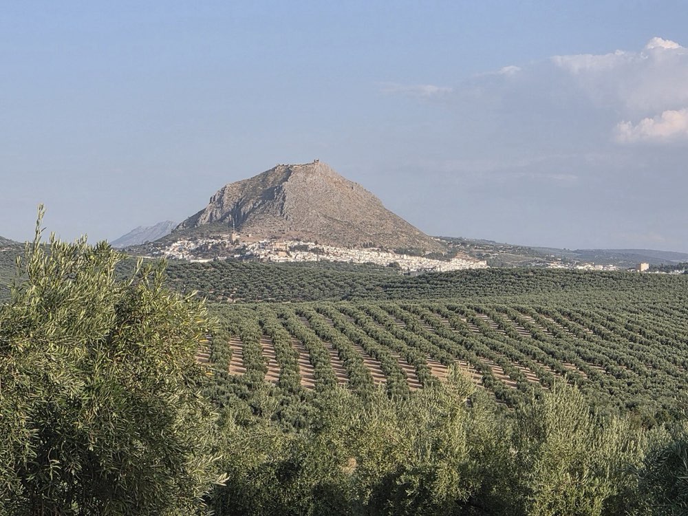 La Peña de Martos vista de lejos, rodeada de olivar.
