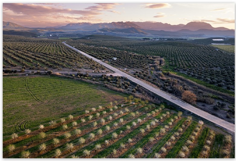 Imagen de la noticia: Katy Gómez gana el premio de fotografía El Paisaje Giennense del IEG
