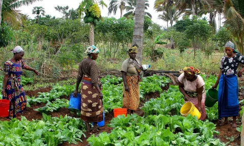 Image for the story: The Diocese of Jaén vindicates the role of rural women on the International Day