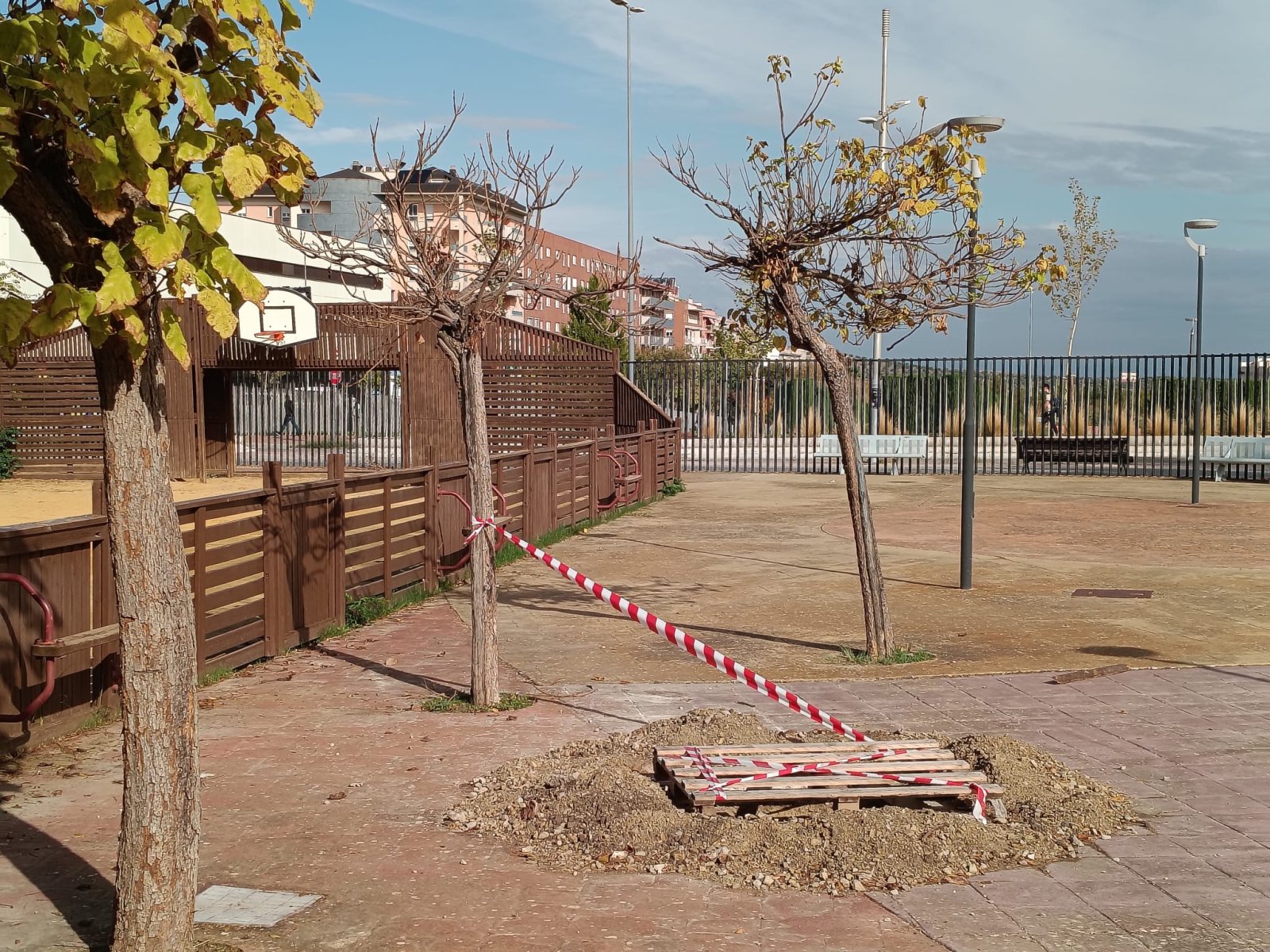 Imagen de la noticia: Jaén planta más de 700 árboles en barrios y carriles bici