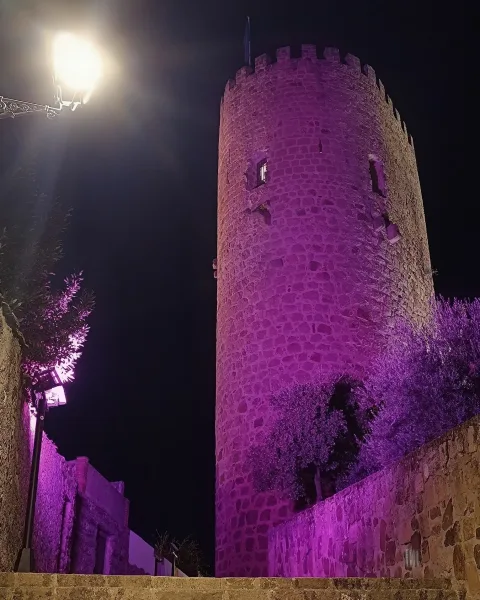 Imagen de la noticia: Baños de la Encina marcha contra el cáncer de mama y tiñe el castillo de rosa